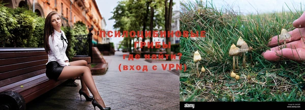ALPHA PVP Лиски