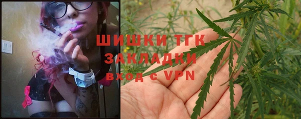 стаф Магадан