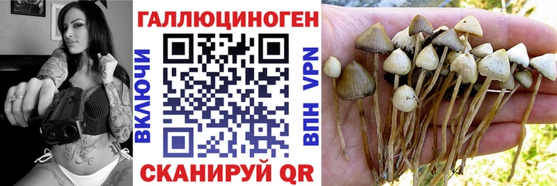 Галлюциногенные грибы Psilocybe  мега вход  Алдан 