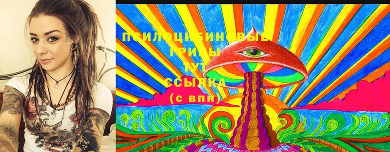 shop формула  Алдан  Псилоцибиновые грибы Cubensis 